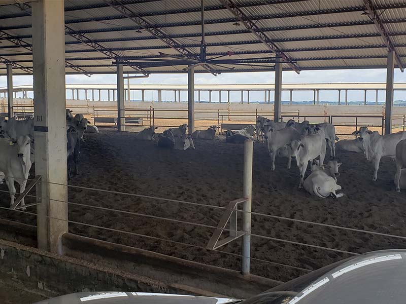 AS Projetos e Pré Moldados
